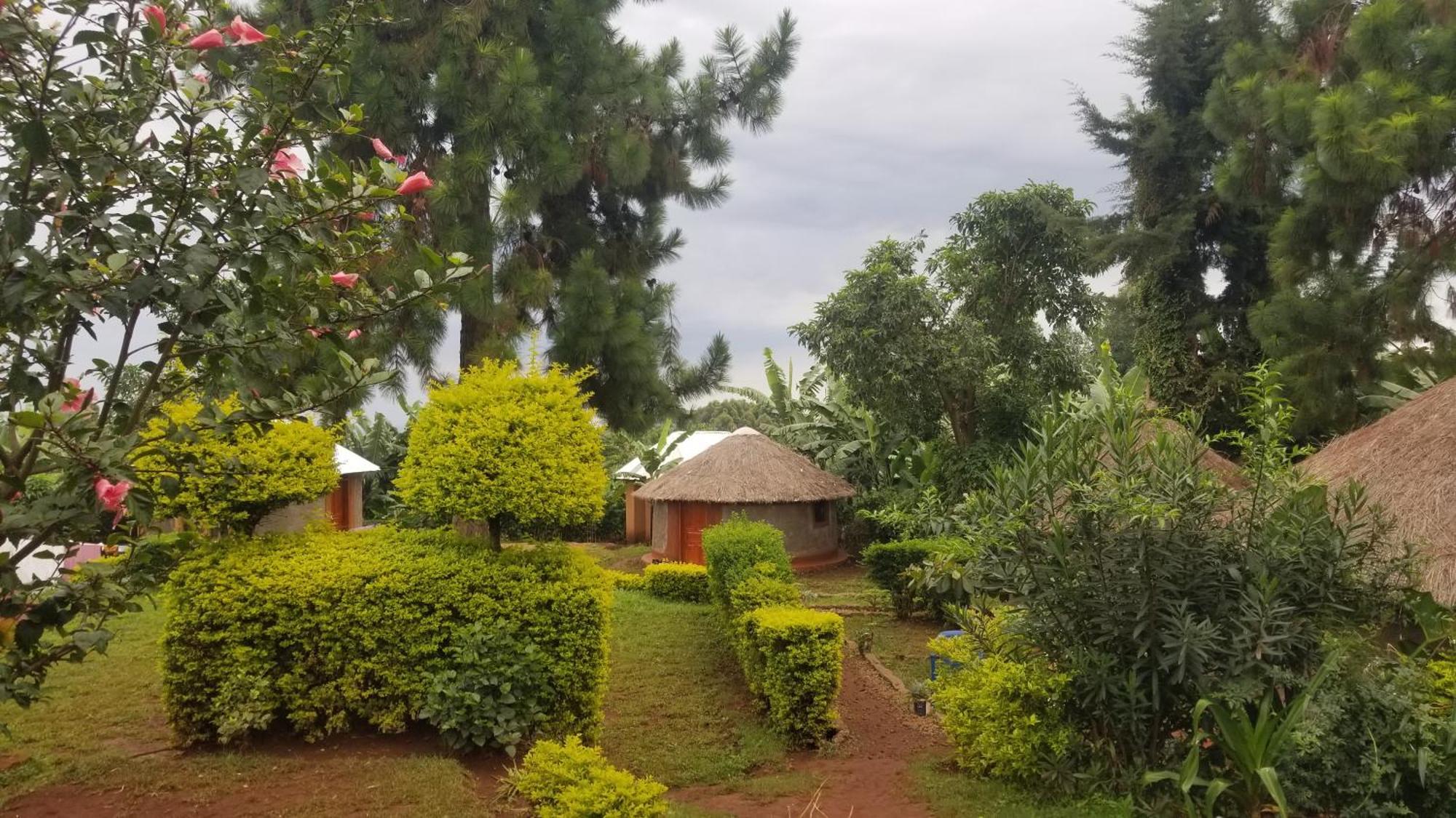 Rock Garden Sipi 호텔 Kapchorwa 외부 사진