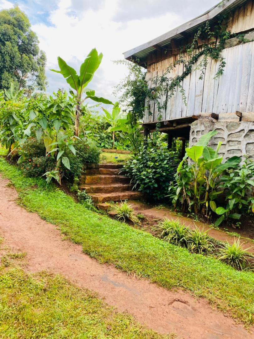Rock Garden Sipi 호텔 Kapchorwa 외부 사진