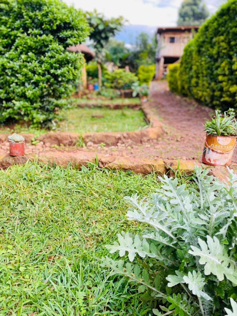 Rock Garden Sipi 호텔 Kapchorwa 외부 사진