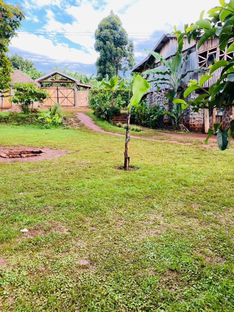 Rock Garden Sipi 호텔 Kapchorwa 외부 사진