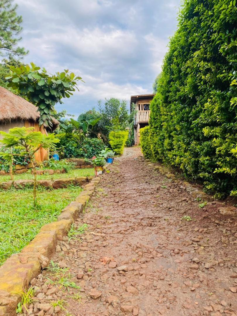 Rock Garden Sipi 호텔 Kapchorwa 외부 사진
